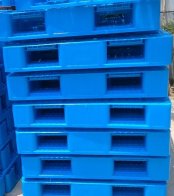 Plastic Pallet

Applications